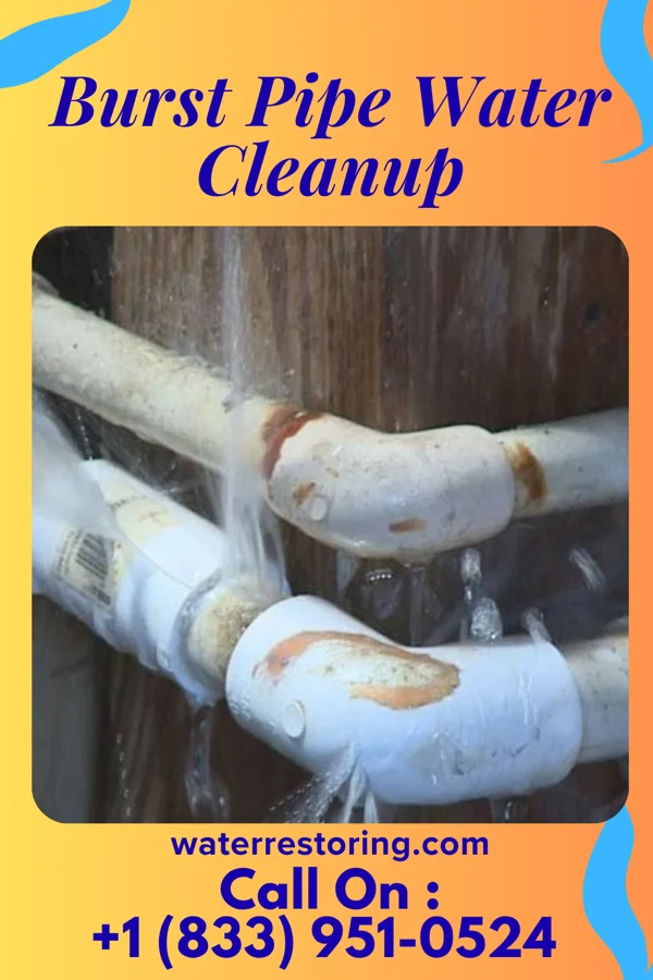 Burst Pipe Water Cleanup in Cresson, PA