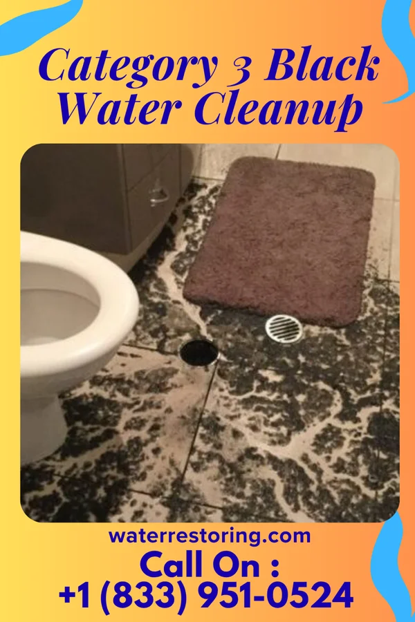 Category 3 Black Water Cleanup in Cresson, PA