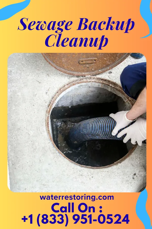 Sewage Backup Cleanup in Cresson, PA